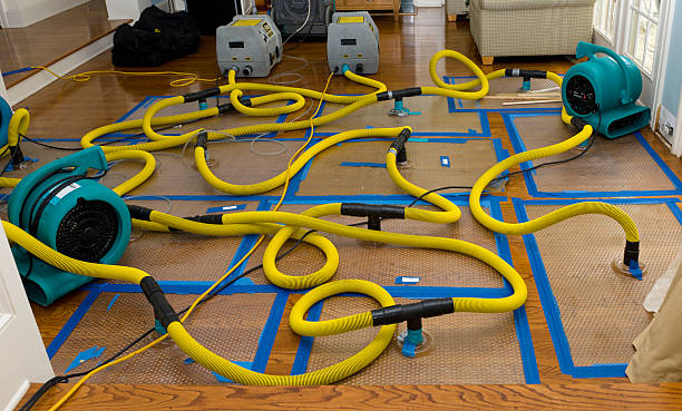 Professional Basement Flood Cleanup technician working in New Castle, KY